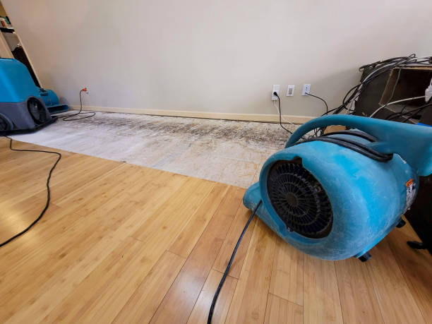 Reliable Crawl Space Water Removal contractor in Downey, CA by Hirex Water Damage