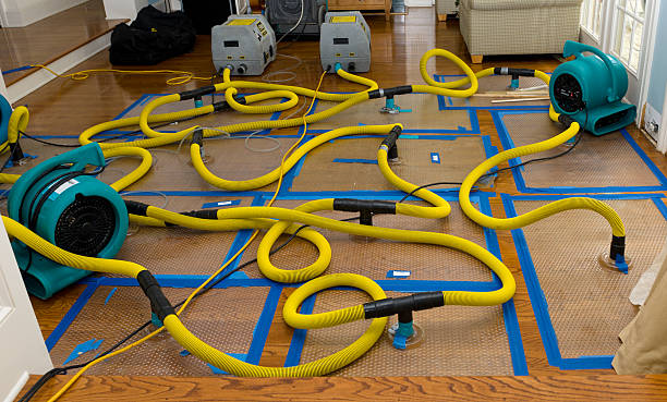 Professional Crawl Space Water Removal technician working in Downey, CA